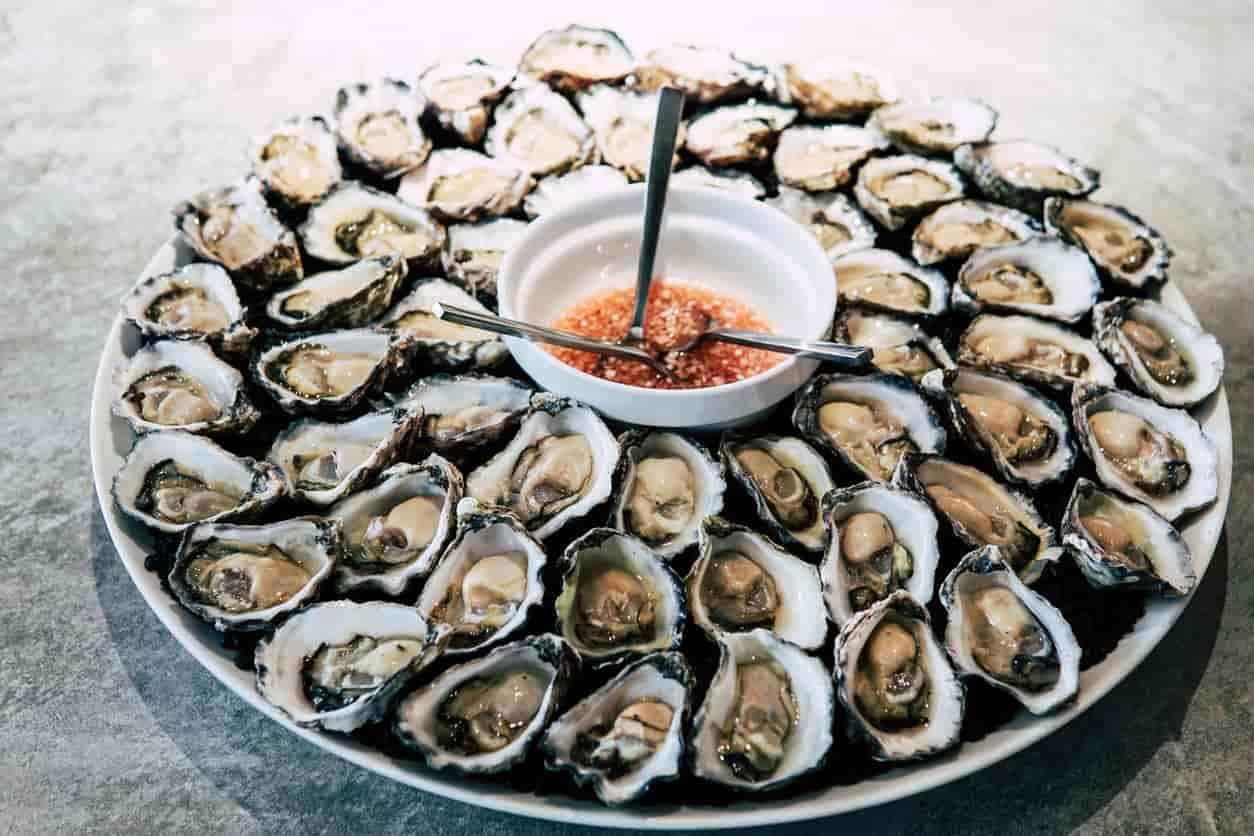 Will Eating Oysters Help Treat Premature Ejaculation Promescent